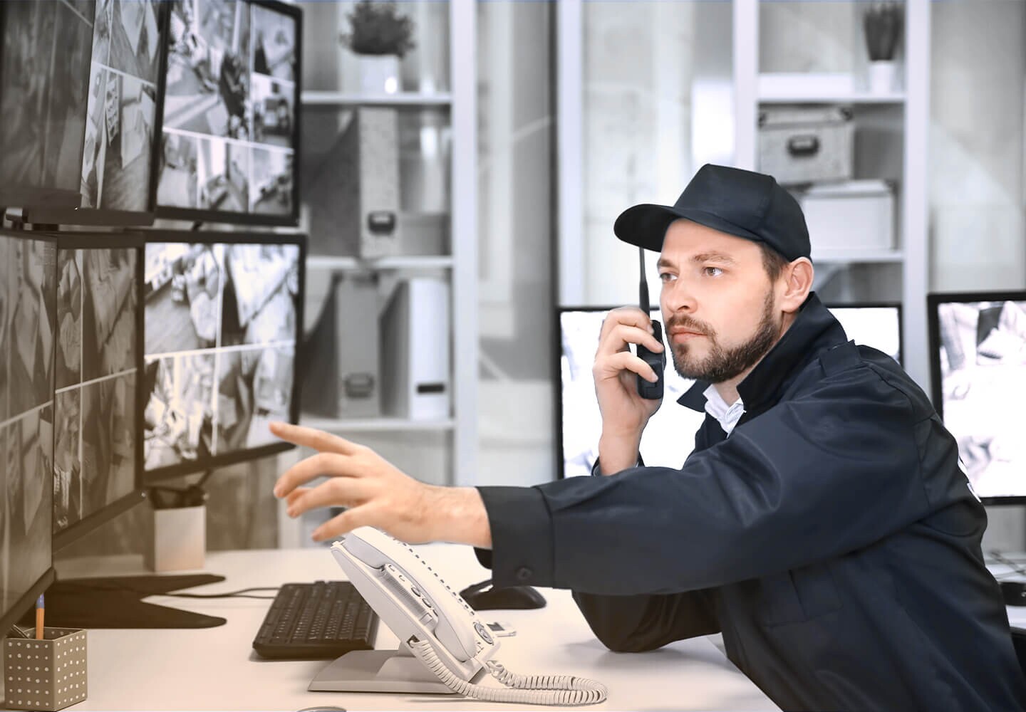 ip-surveillance_05_block_content_2